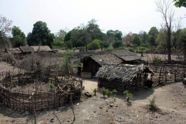 A village surrounded by green trees in Gujarat, India